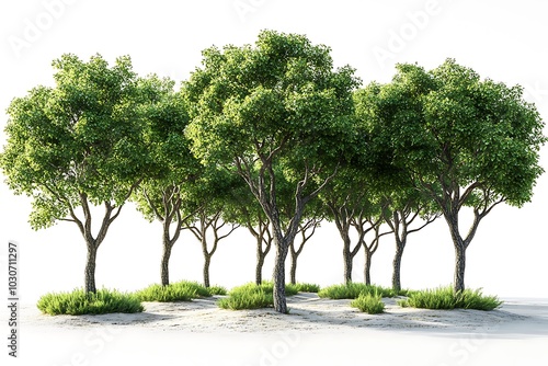 Wallpaper Mural A cluster of lush green trees on a pristine white background Torontodigital.ca