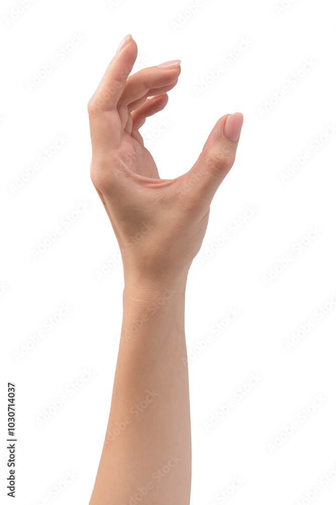 Woman hands with nude manicure isolated on a white background. Woman hands with nude manicure isolated on a white background.