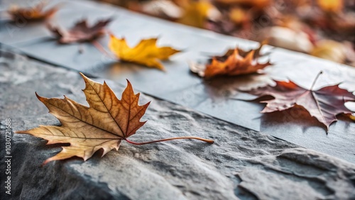 An abstract autumn background with a frame of yellow fall leaves on a stone surface, perfect for Thanksgiving or seasonal concepts. Copy space included.