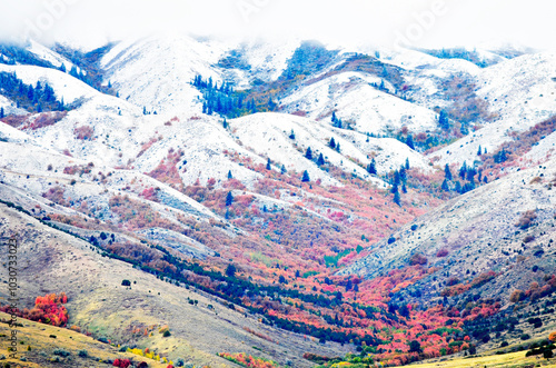 Mountainside in Autumn with Red Leaves