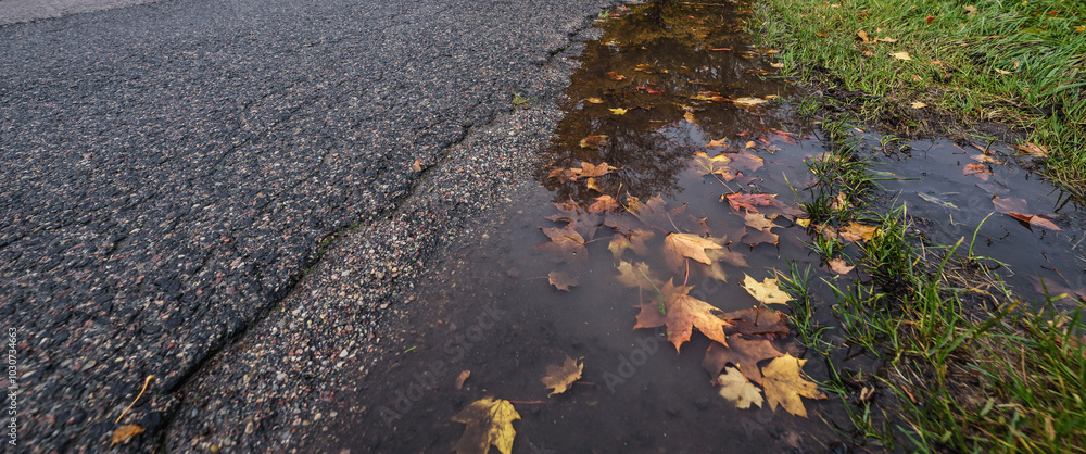 AUTUMN - Yellow leaves in water after rain on the roadside AUTUMN - Yellow leaves in water after rain on the roadside