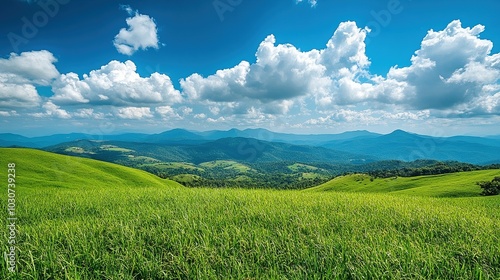 Scenic Mountain Landscape with Lush Green Fields