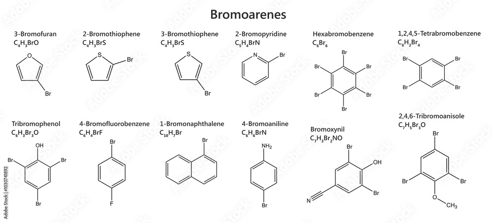 Chemical structure and molecular formulas of bromoarenes. Bromarenes are aromatic compounds containing one or more bromine atoms attached to a benzene ring. White background. Chemical structure and molecular formulas of bromoarenes. Bromarenes are aromatic compounds containing one or more bromine atoms attached to a benzene ring. White background.