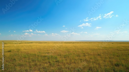 The vast plains of Texas under a bright blue sky, ample space for text