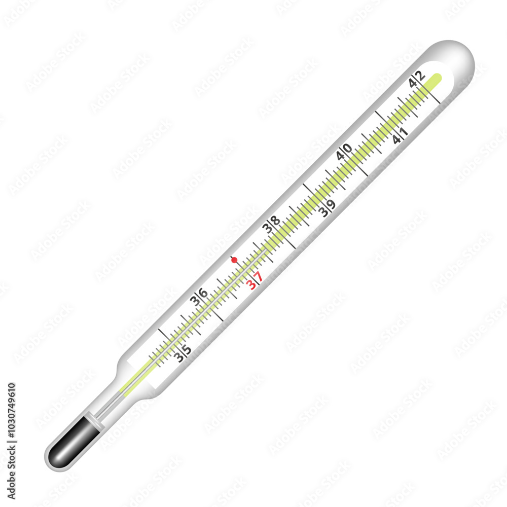 Mercury thermometer. Vector clipart isolated on white background. Mercury thermometer. Vector clipart isolated on white background.