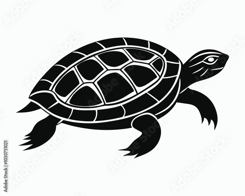 Turtle vector illustration