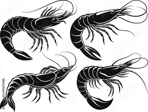 Shrimp vector illustration set