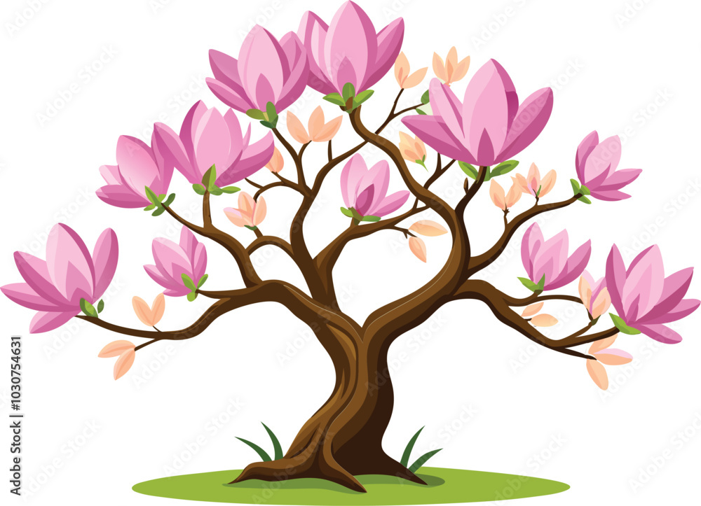 Magnolia tree Isolated flat vector illustration Magnolia tree Isolated flat vector illustration