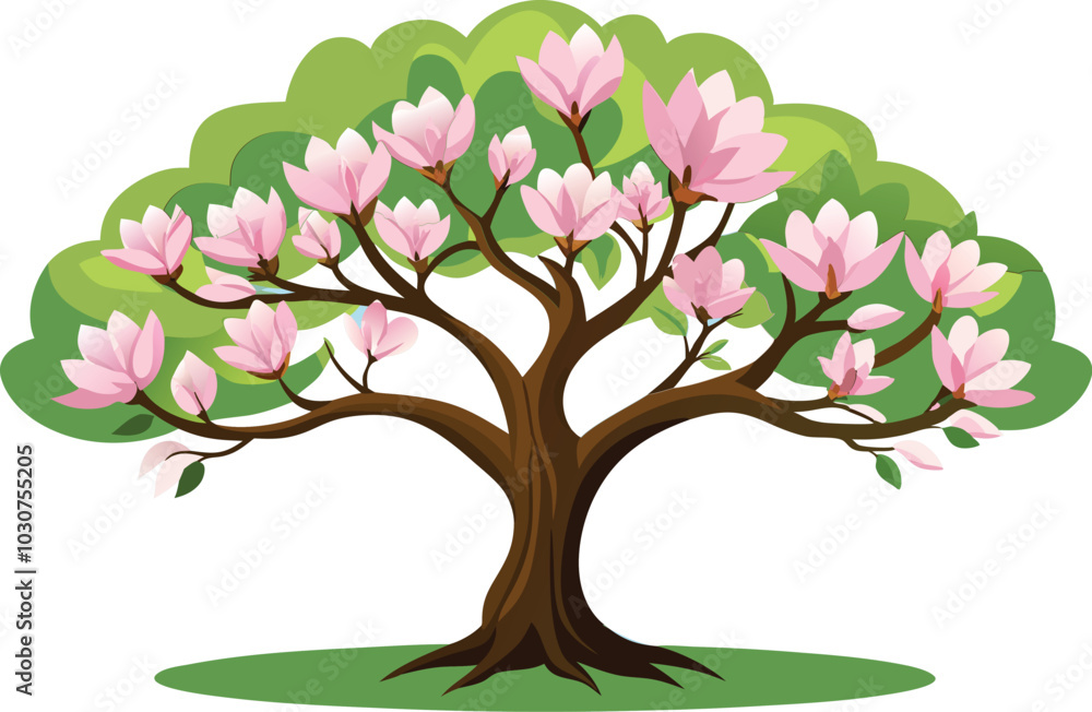 Fototapeta premium Magnolia tree Isolated flat vector illustration 