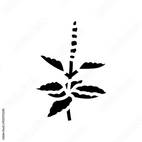 holy basil ayurvedic herb glyph icon vector. holy basil ayurvedic herb sign. isolated symbol illustration
