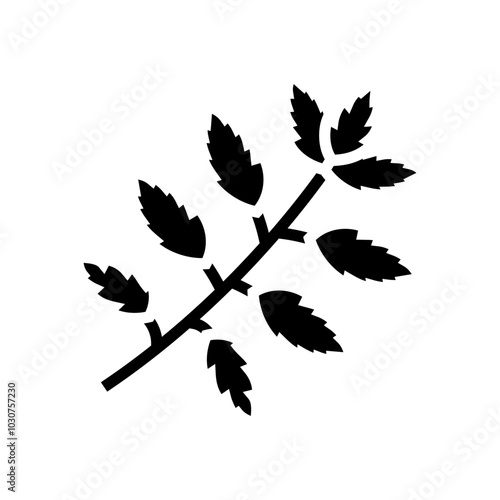 neem leaves ayurvedic herb glyph icon vector. neem leaves ayurvedic herb sign. isolated symbol illustration