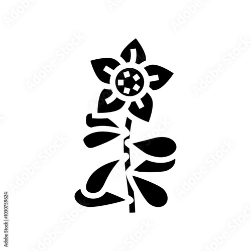 brahmi ayurvedic herb glyph icon vector. brahmi ayurvedic herb sign. isolated symbol illustration