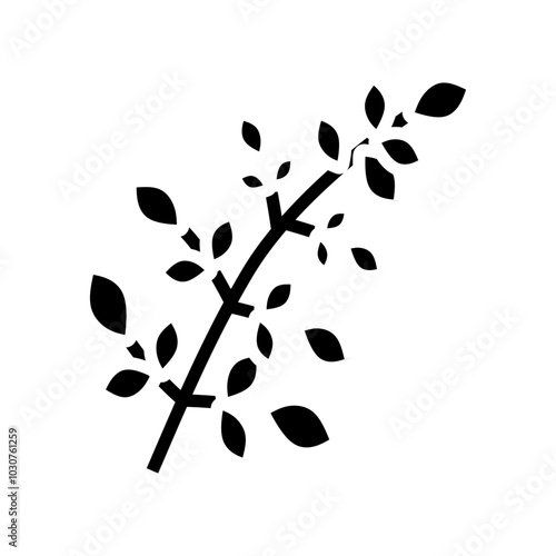 moringa leaves ayurvedic herb glyph icon vector. moringa leaves ayurvedic herb sign. isolated symbol illustration