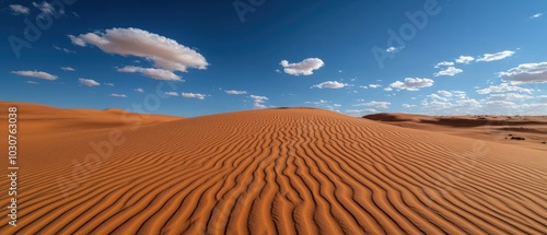 Experience a breathtaking view of vast coral sand dunes under a bright blue sky, showcasing unique textures and serene landscapes, perfect for nature lovers.