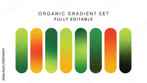 Set of Organic Gradients Background, Abstract Organic Green Gradient Collection Bundle Vector Set