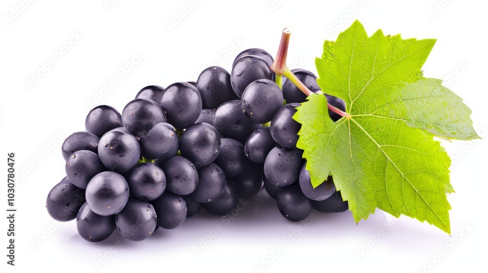 Fototapeta premium Vibrant Black Grape Cluster: A Captivating Nature Art on a White Canvas []