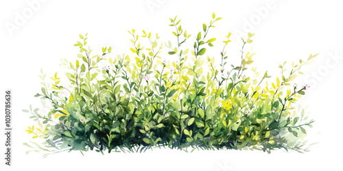 Watercolor long dense green bush gardening with small yellow flowers isolated on transparent background