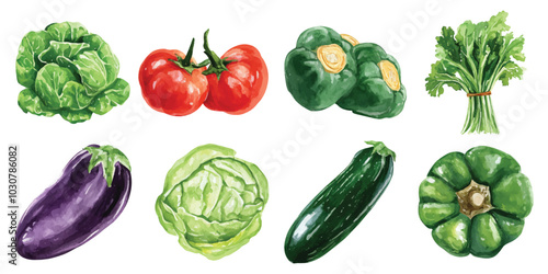 Set watercolor fresh mix vegetable design resources elements isolated on transparent background