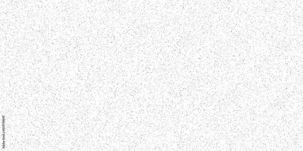 White and black particles dust noise paper texture background and terrazzo flooring texture polished stone pattern. Quartz surface white for bathroom or kitchen sandstone small have mixed sand tile. White and black particles dust noise paper texture background and terrazzo flooring texture polished stone pattern. Quartz surface white for bathroom or kitchen sandstone small have mixed sand tile.
