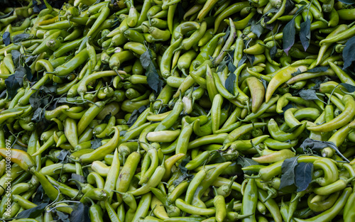 Green pepper close up at the market.