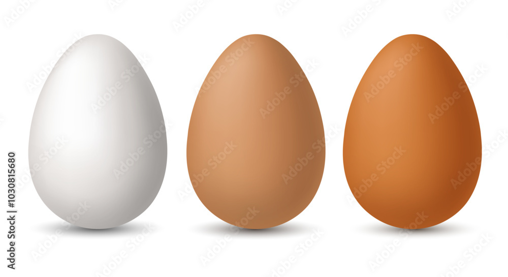 Chicken eggs. Set of vector 3D eggs, isolated on a white background. Chicken eggs. Set of vector 3D eggs, isolated on a white background.
