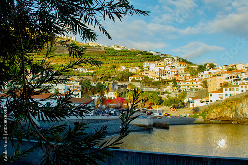  the bay of Camara dos Lobos