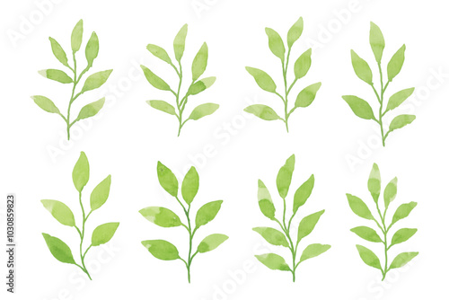 Assortment of watercolor leaves illustration set - green leaf branches collection for wedding, greetings, stationary, wallpapers, fashion, background. olive, green leaves, Eucalyptus etc