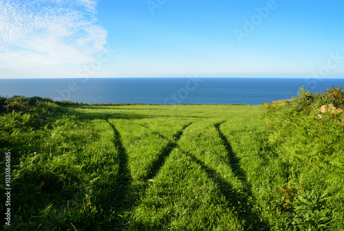 Marcas de ruedas vehículo agrícola en pradera verde junto al mar