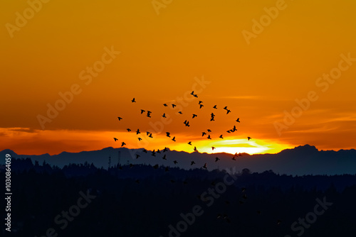 Canvas Print sunset in the sky
