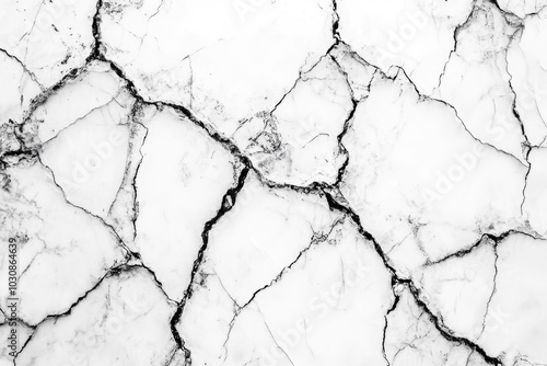 Cracked Black and White Floor