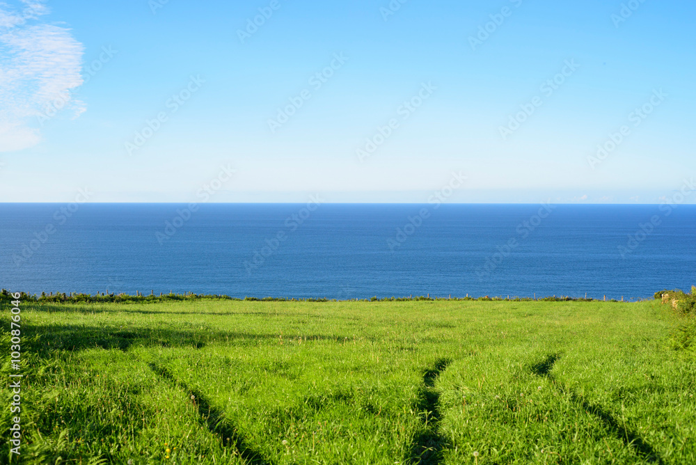 Marcas de ruedas en pradera verde junto al mar en Asturias Marcas de ruedas en pradera verde junto al mar en Asturias