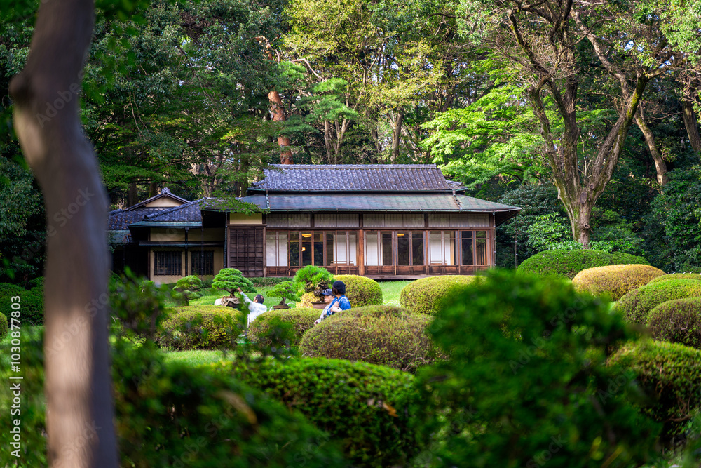 Tea house / Tokyo, Japan Tea house / Tokyo, Japan