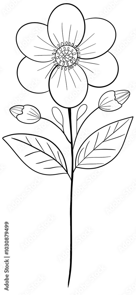 hand drawn flower hand drawn flower
