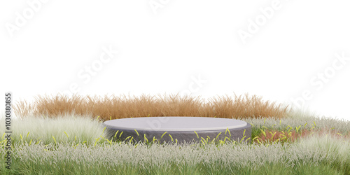 Fototapeta Naklejka Na Ścianę i Meble -  podium stone on desert for display product transparent background 3d PNG