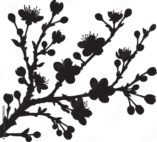 Sakura cherry flower silhouette vector art illustration. Isolated on transparent background.