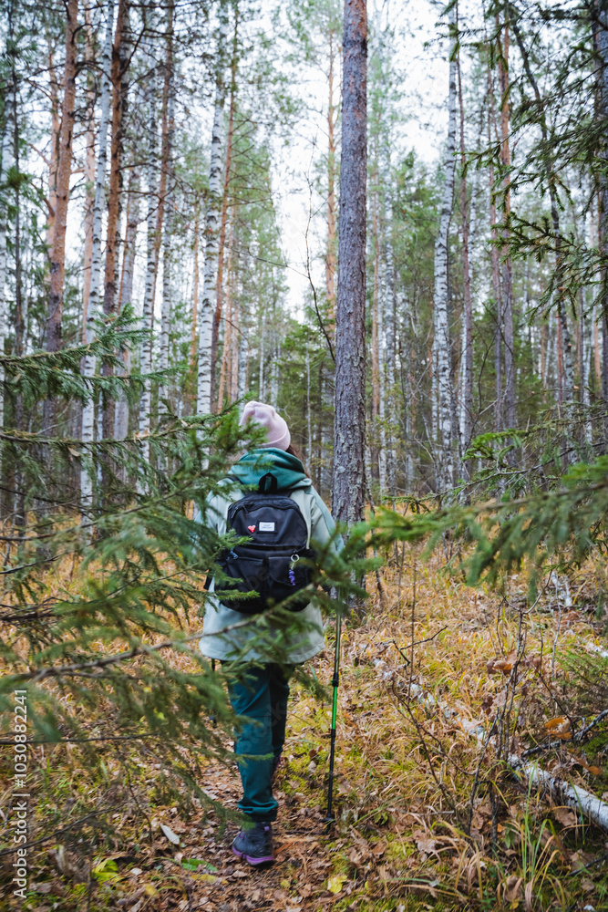 In a stunningly beautiful forest, a determined hiker finds genuine solace among the majestic trees, savoring the enchanting beauty offered by autumns vibrant and colorful foliage In a stunningly beautiful forest, a determined hiker finds genuine solace among the majestic trees, savoring the enchanting beauty offered by autumns vibrant and colorful foliage