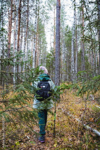 In a stunningly beautiful forest, a determined hiker finds genuine solace among the majestic trees, savoring the enchanting beauty offered by autumns vibrant and colorful foliage