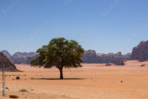 Wadi Rum