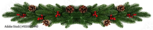 christmas fir banner on white