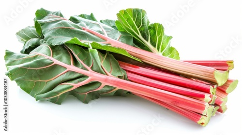 Fresh Rhubarb Stalks and Leaves - Garden Produce