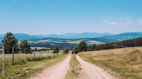 Winding Dirt Road Through Lush Green Hills and Forests under a Clear Blue Sky