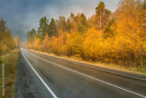 A road with trees on both sides and a car driving down it