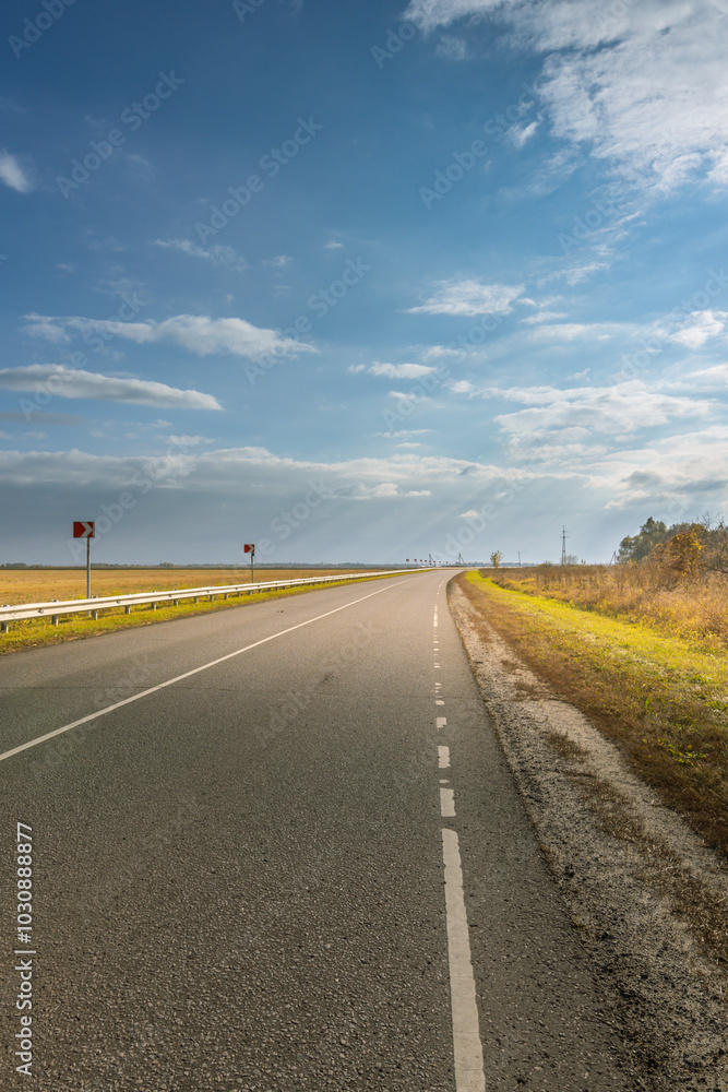 Fototapeta premium A long, empty road with a few traffic signs and a few trees in the background
