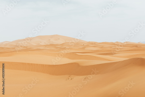 Dunas del desierto