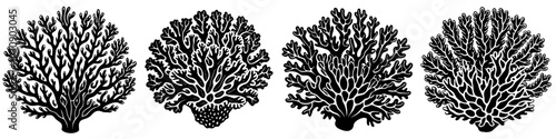 line art vector illustration collection of coral with wood cutting style. isolate on a white background. SVG and PNG

