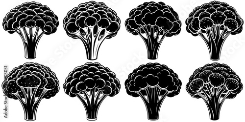 line art vector illustration collection of broccoli with wood cutting style. isolate on a white background. SVG and PNG
