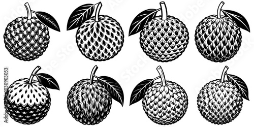 line art vector illustration collection of lychee with wood cutting style. isolate on a white background. SVG and PNG
