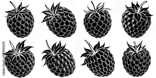 line art vector illustration collection of raspberry with wood cutting style. isolate on a white background. SVG and PNG
