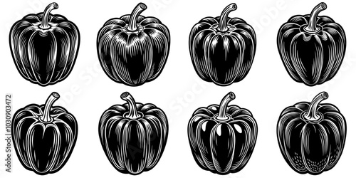 line art vector illustration collection of bell pepper with wood cutting style. isolate on a white background. SVG and PNG
