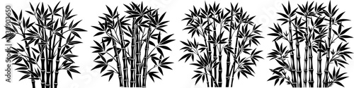 line art vector illustration collection of bamboo with wood cutting style. isolate on a white background. SVG and PNG
